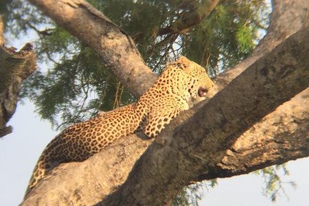 Three days escape to Queen Elizabeth National park
