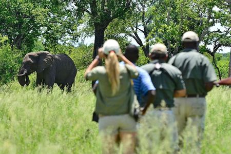 4 Days 3 Nights Victoria Falls Camping Adventure