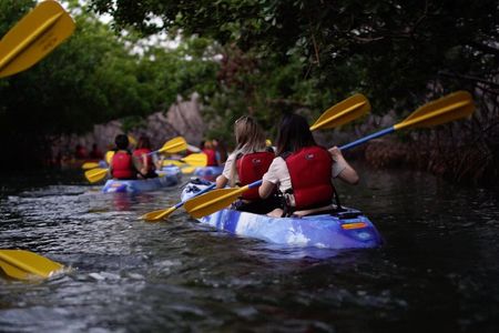 Bioluminescent Bay Kayak Adventure Tour from San Juan