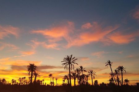 the best Camel ride exp in desert of Marrakech 