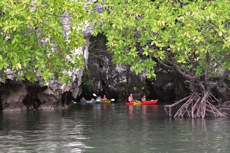 Small-Group Sea Kayaking in Ao Thalane Bay and Hong Island from Krabi