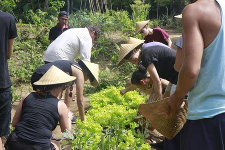 From Ubud: Authentic Bali Farm Cooking School & Organic Farm