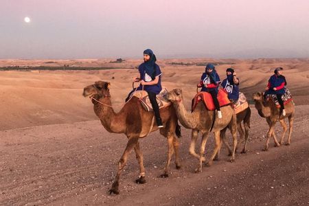  Quad bikes & Camel in Agafay Desert with lunch 