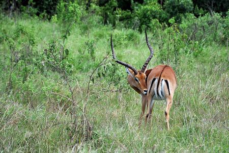 1 Day Mount Longonot Trek