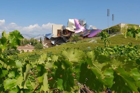 Rioja wine tour: wineries and Laguardia from Pamplona