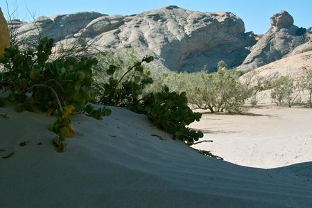 Swakop River Valley & Spitzkoppe Full Day 4x4 tour from Walvis Bay
