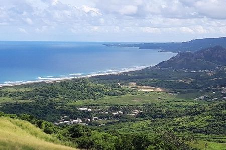 The Real Barbados 6 hour Island Tour