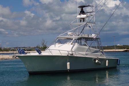 Private Deep Sea Fishing 1/2 day PM Charter on Angler Management
