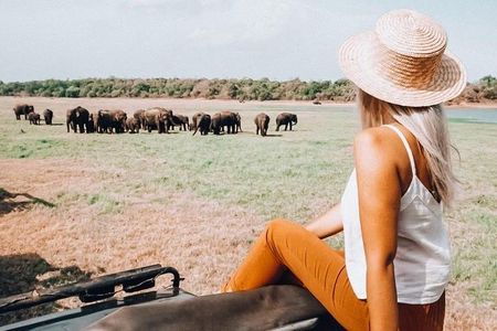 Half Day Minneriya National Park Safari from Habarana