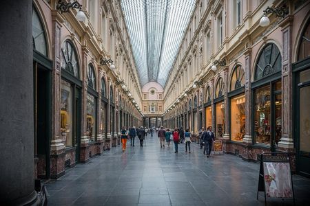 Private 2-Hour Sightseeing Tour in Brussels