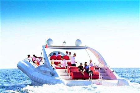 Luxury Opera 60 Whale & Dolphin Watching Experience 