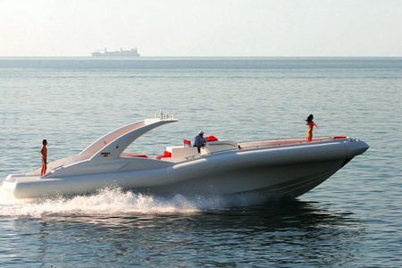 Luxury Opera 60 Whale & Dolphin Watching Experience