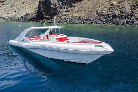Luxury Opera 60 Whale & Dolphin Watching Experience