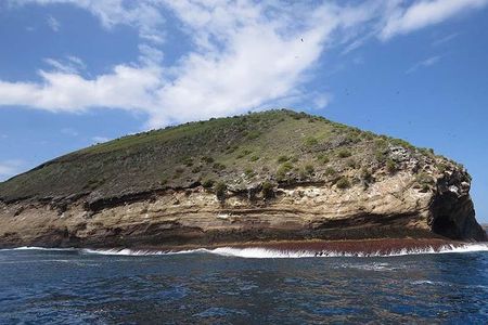 Snorkeling tour at tortuga island from Isabela
