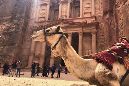 FROM AMMAN | Petra & Wadi Rum in one day | The Jordanian Mappers