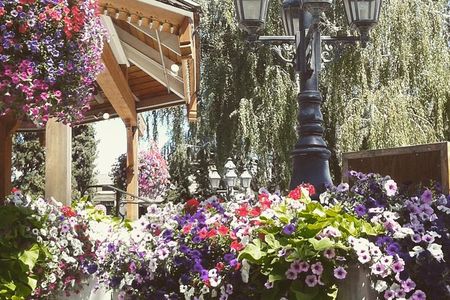 Luxury Leavenworth Day Trip through the Cascade Mountains