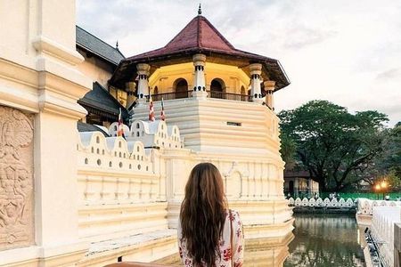  Kandy Sightseeing Day Tour from Colombo (All Inclusive)
