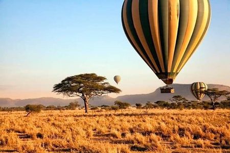 5days Tarangire,Serengeti,ngorongoro Crater and Lake Manyara National park 