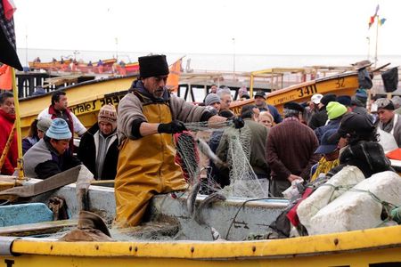 Valpo in 1 day: Authentic + Famous! Semi-private walking tour & public transport