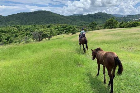 Private Advanced Horseback Beach Ride with Sandy Hoofs St. Lucia
