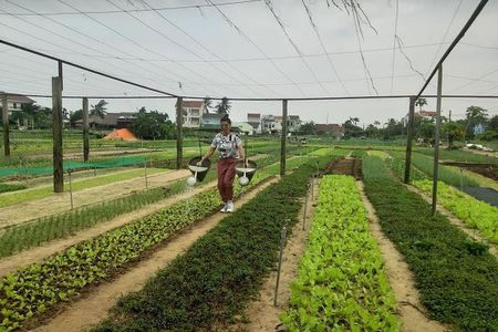 Discovering Hoi An Countryside Local style From Hoi an