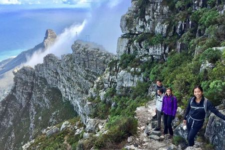 India Venster: sensational half-day route up Table Mountain 