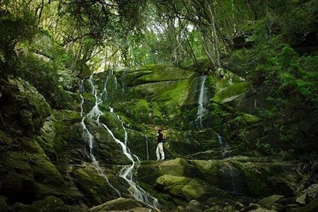 Skeleton Gorge to Table Mountain summit