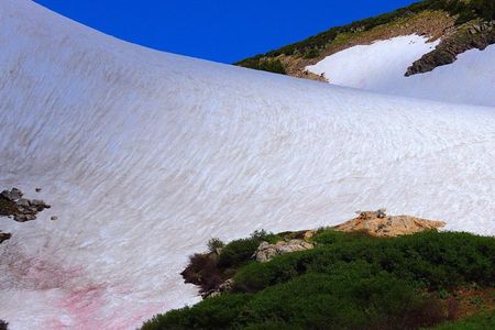 Glacier Hiking & Geothermal Cave Pools