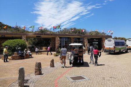 From CapeTown:TableMountain Private,Penguins&C.of Good Hope Tour 