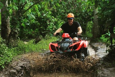 Bali Quad Biking Adventure