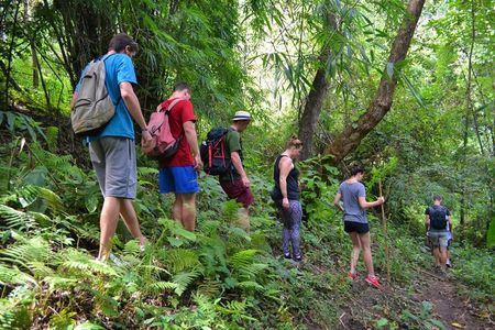 Full-Day Hike and Bike Tour from Chiang Mai
