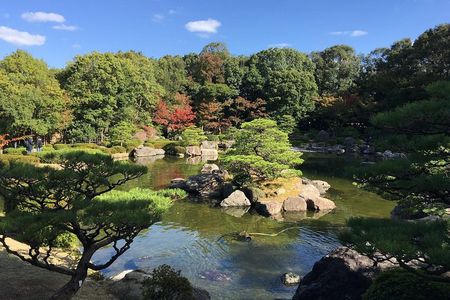 Fukuoka City walking with public transport sightseeing Tour