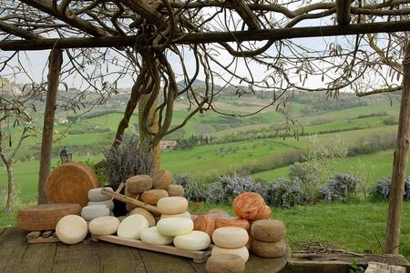 Pecorino Cheese di Pienza Tour