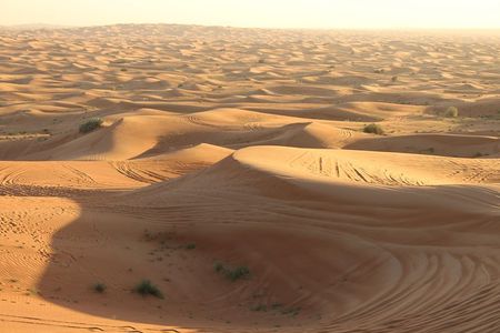 Morning Desert Safari on Red Dunes with Sand Boarding & Optional Quad Biking