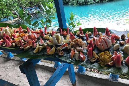 Hideaway Island Escape, Blue Lagoon and Turtle Experience