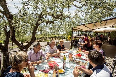 Wine & Food Tour at the Vesuvius Winery