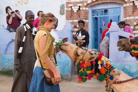 Private Aswan Tour : Nubian Village and Felucca ride