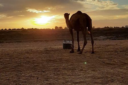 Atlas Mountains And Camel Ride Day Trip From Marrakech