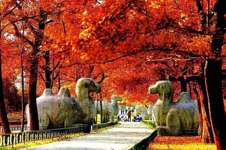 Nanjing City Private Customized Day Tour with Lunch