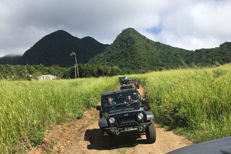 Self Drive 4x4 Off Road Jeep Wrangler & Beach Chill