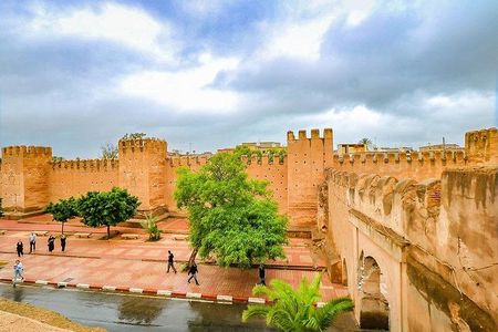 Taroudant Guided Day Tour from Agadir