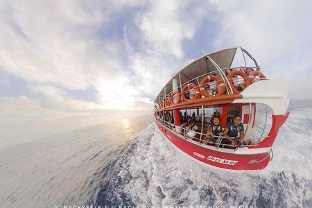 Whale Watching Mirissa with Eagle Eye