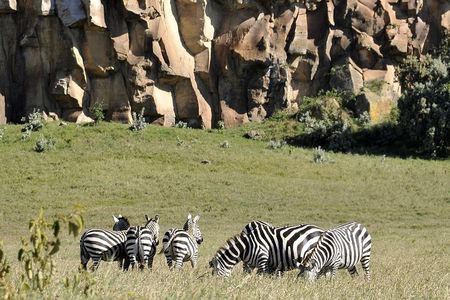 Day Trip To Crescent Island And Hells Gate National Park