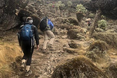 Day Hike to Mount Kilimanjaro (Mandara Hut)