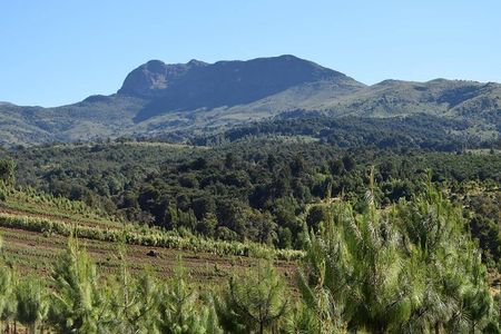 Scenic Day Trip to Aberdares National Park