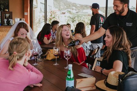 Xecue Wine Tasting in the Guadalupe Valley