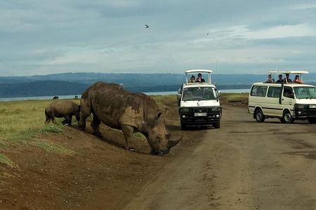 6 Days Maasai Mara - Nakuru - Amboseli budget group safari.