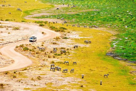 2 Days Amboseli Getaway Trip