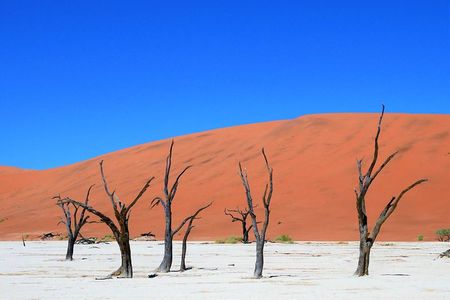 2 Days Sossusvlei Private Camping Tour