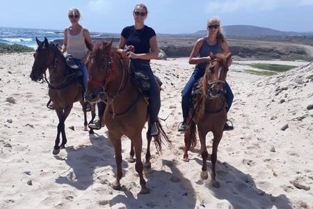 Aruba Countryside: Horseback Adventure to Urirama Cove